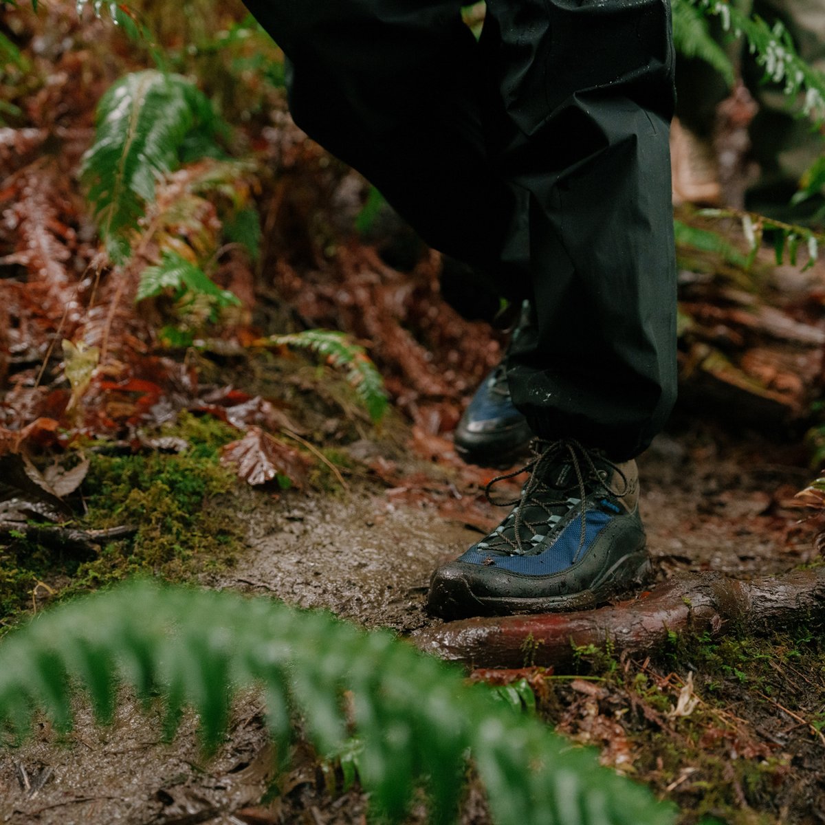 N45 GTX Jet Black/Imperial Blue / Danner Exclusive