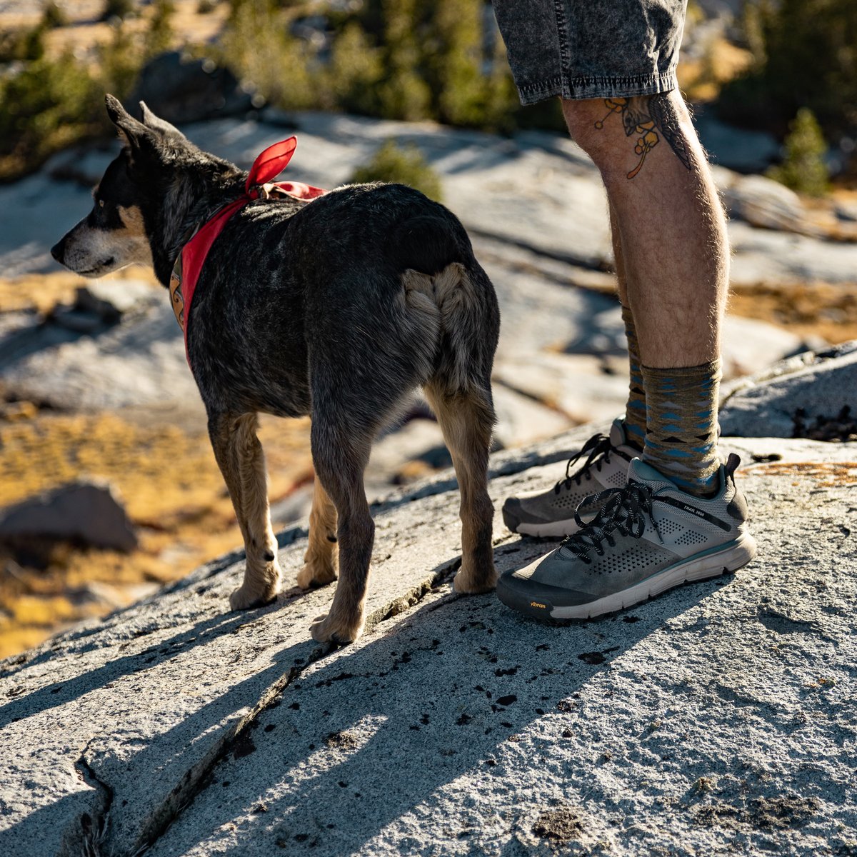 Trail 2650 Charcoal/Goblin Blue / Danner Essential
