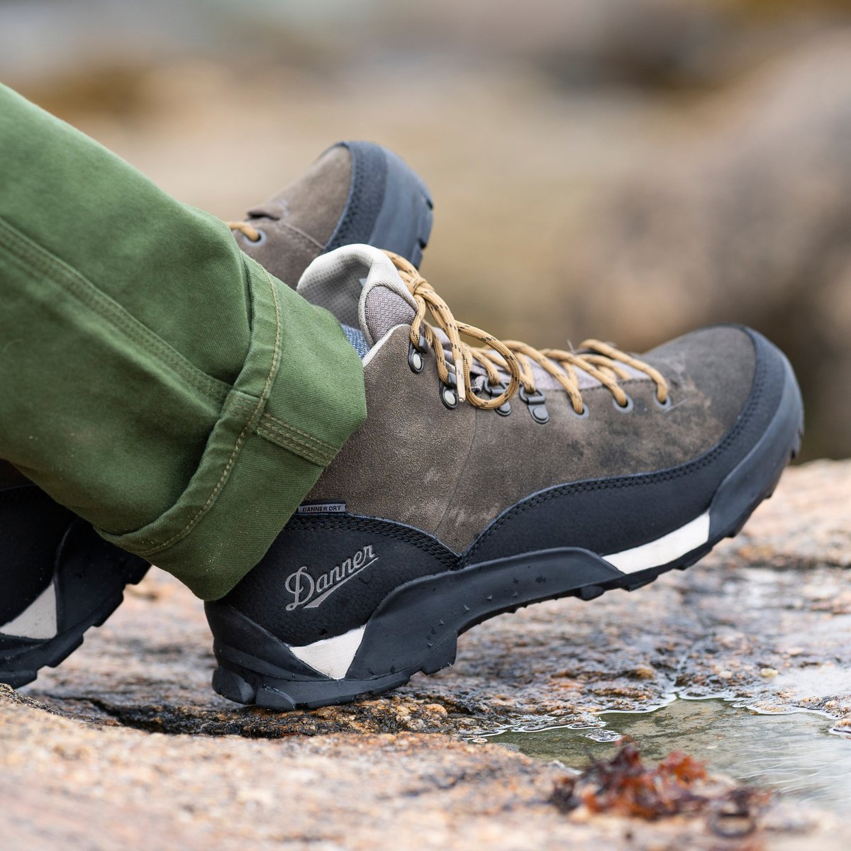 Panorama Low 4" Black Olive / Danner Classic