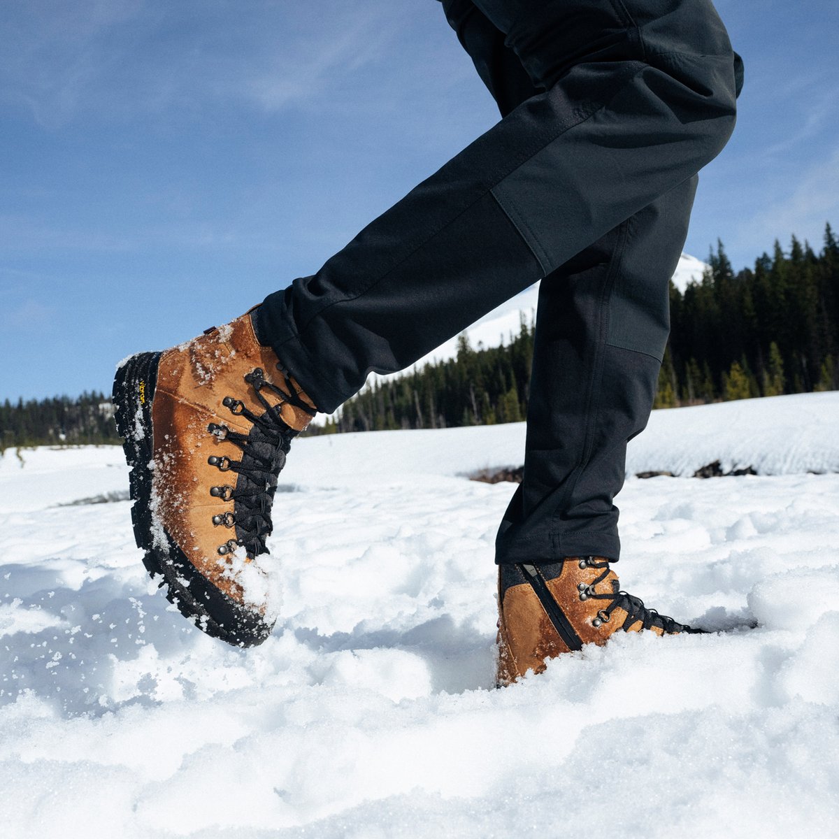 Arctic 600 Side-Zip Bone Brown/Jet Black 200G / Danner Premium