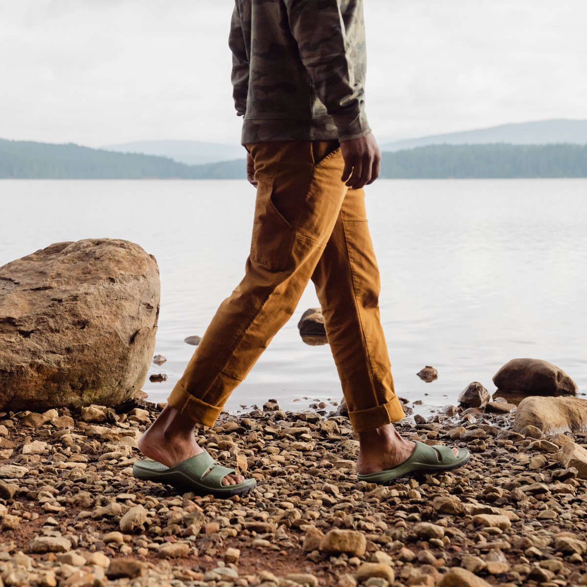 Shelter Cove Forest / Danner New