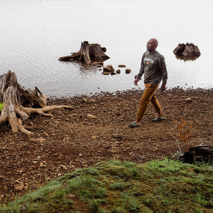 Shelter Cove Forest / Danner New