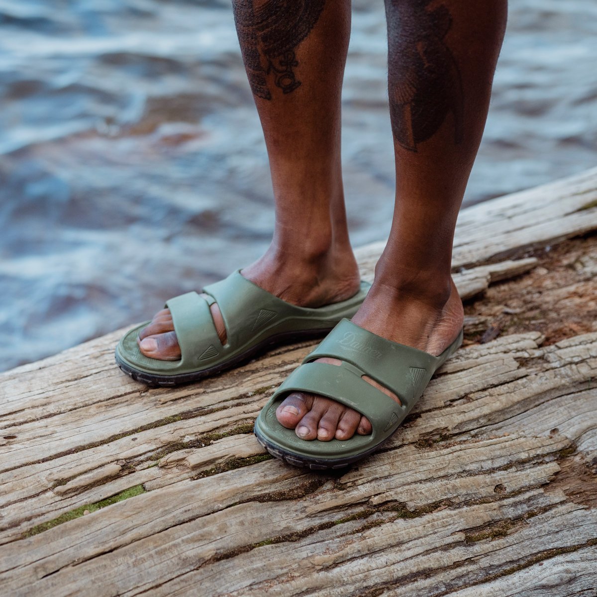 Shelter Cove Forest / Danner New