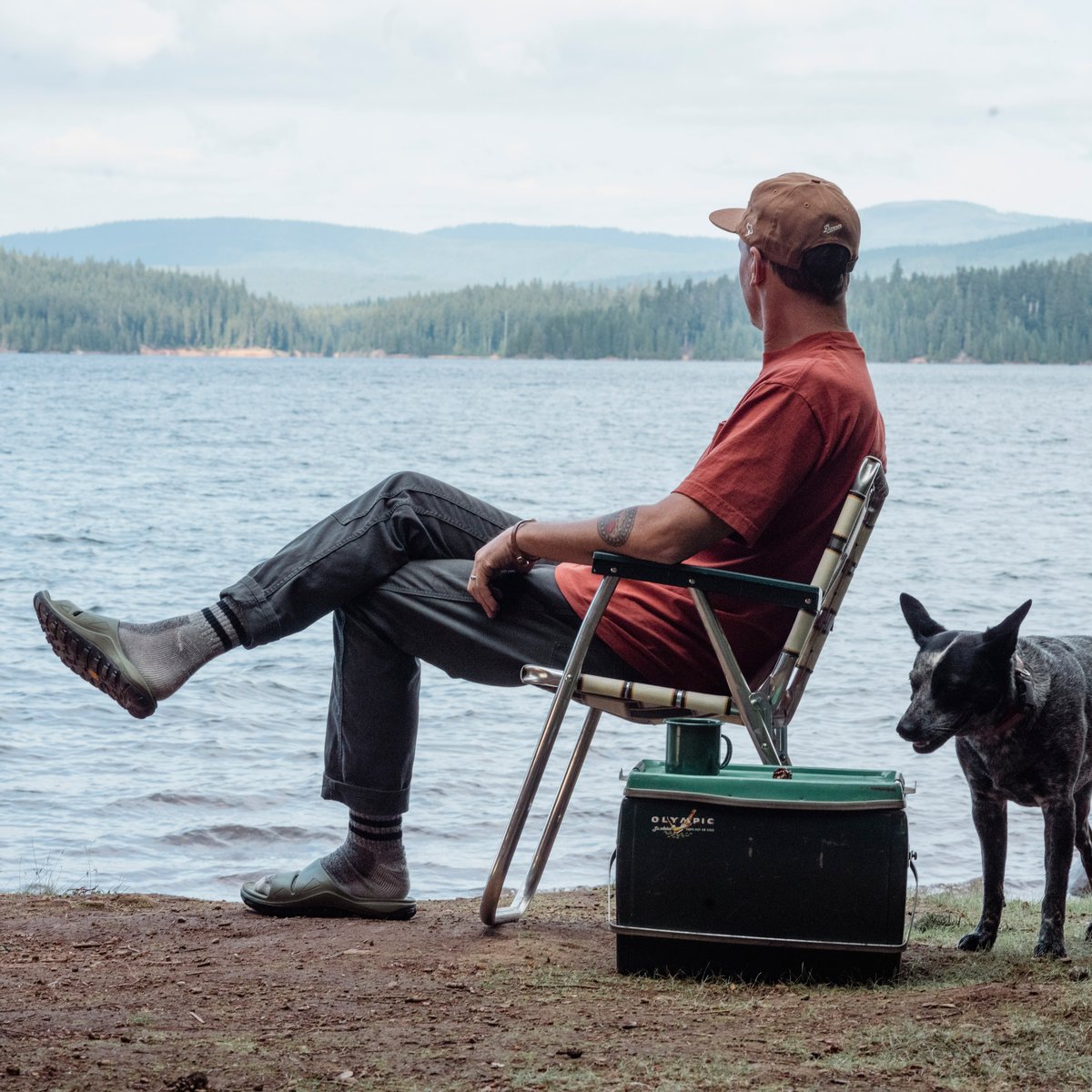 Shelter Cove Forest / Danner New