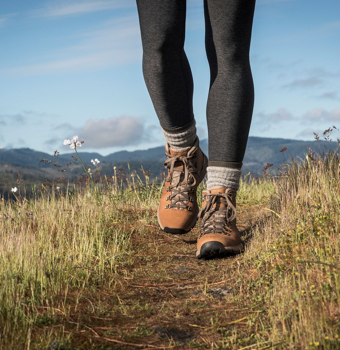 Mountain 600 Rich Brown / Danner Best Price