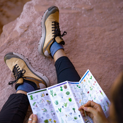 Trail 2650 GTX Prairie Sand/Gray / Danner Latest