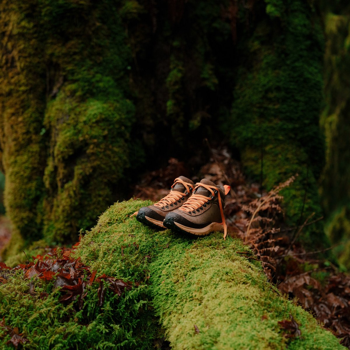 Trail Trainer Malt Brown/Orange Peel / Danner Premium