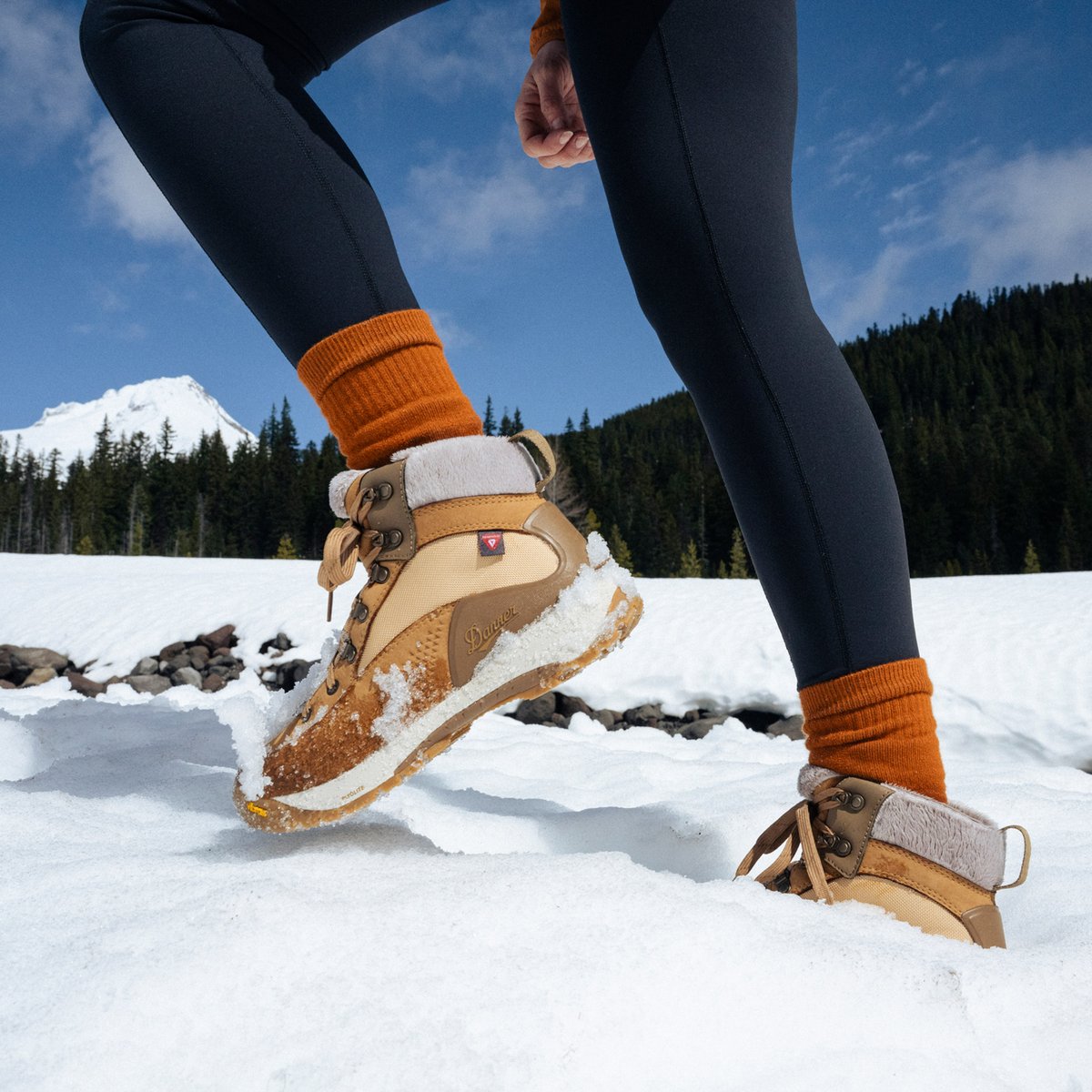 Inquire Winter Bone Brown/Coyote 200G / Danner Value