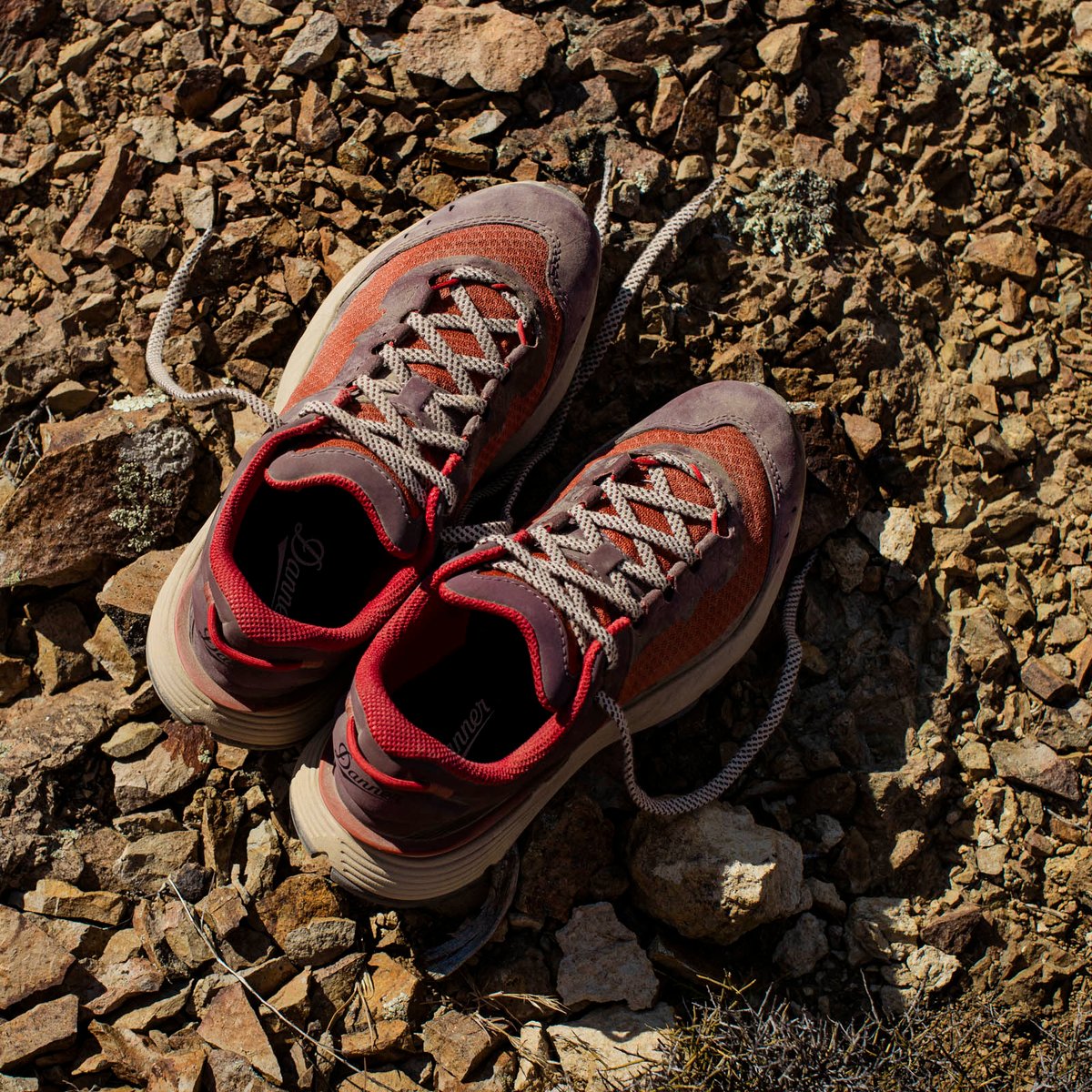 Trail Junction 3" Chocolate/Rhodo Red / Danner Classic