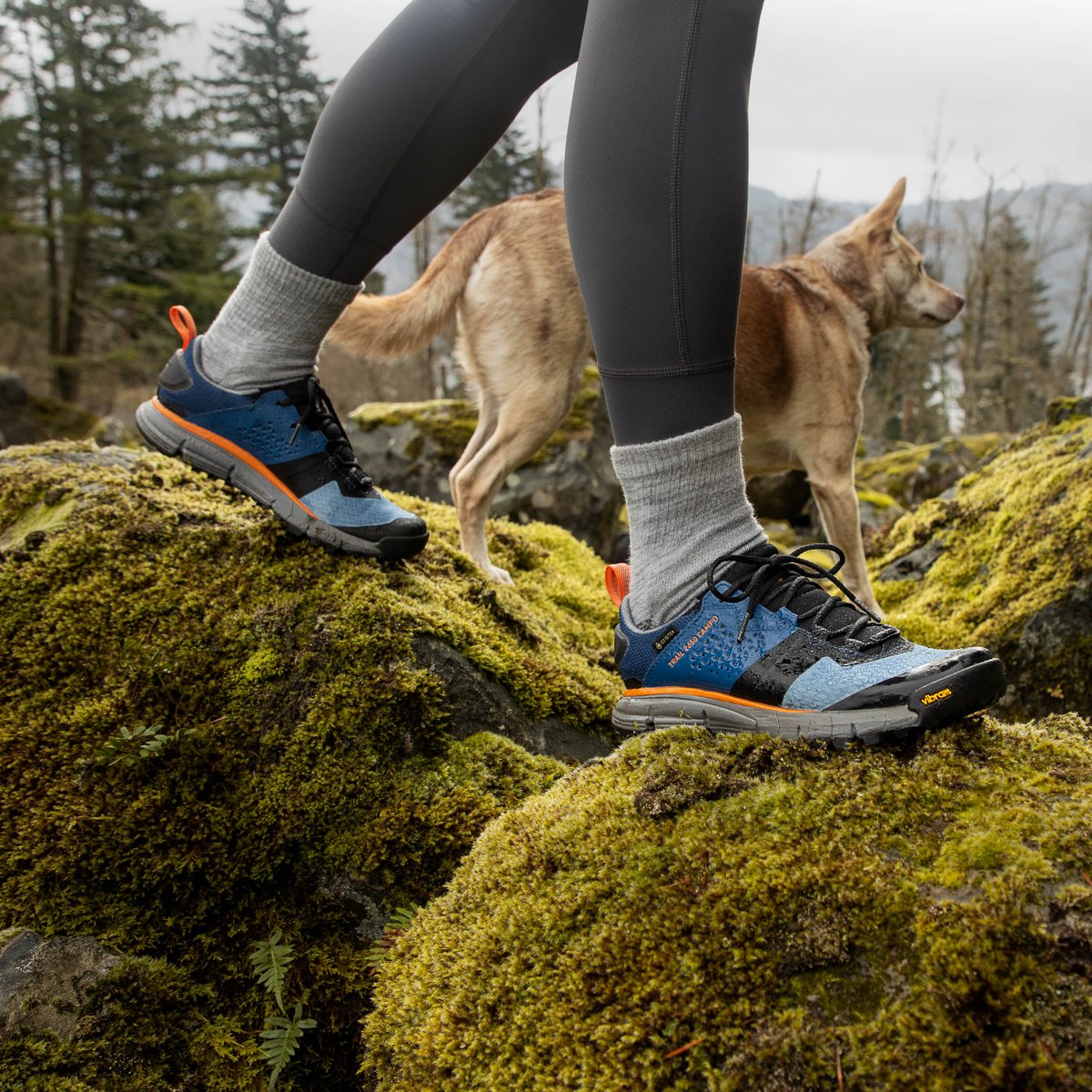 Trail 2650 Campo GTX Blue/Orange / Danner Best Seller